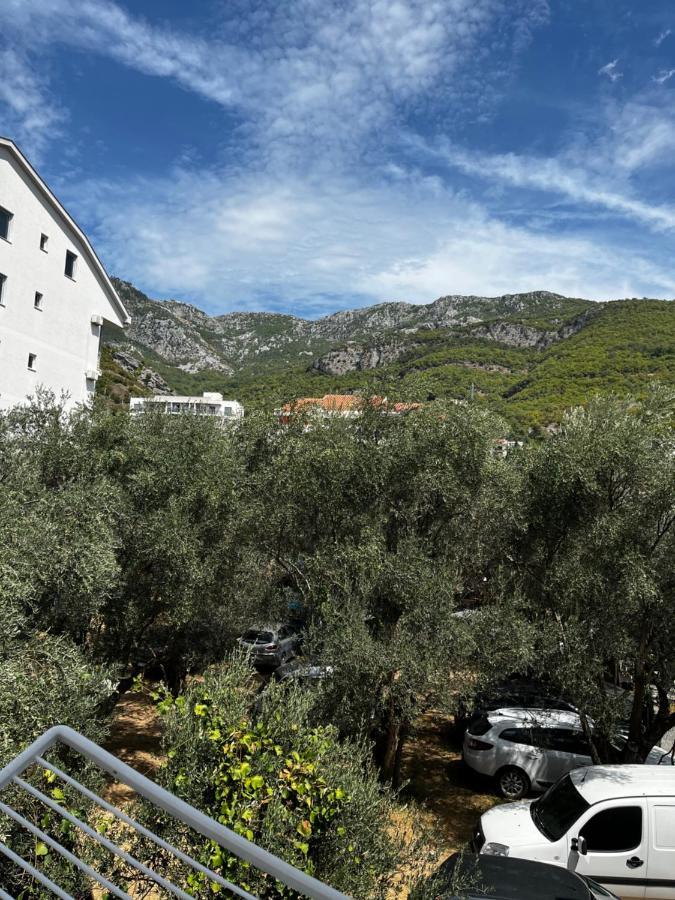 Apartments Kuljaca Budva Ngoại thất bức ảnh